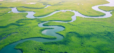 מהפכה בהשקיה חקלאית: תפקידם של צינורות ואביזרי PVC